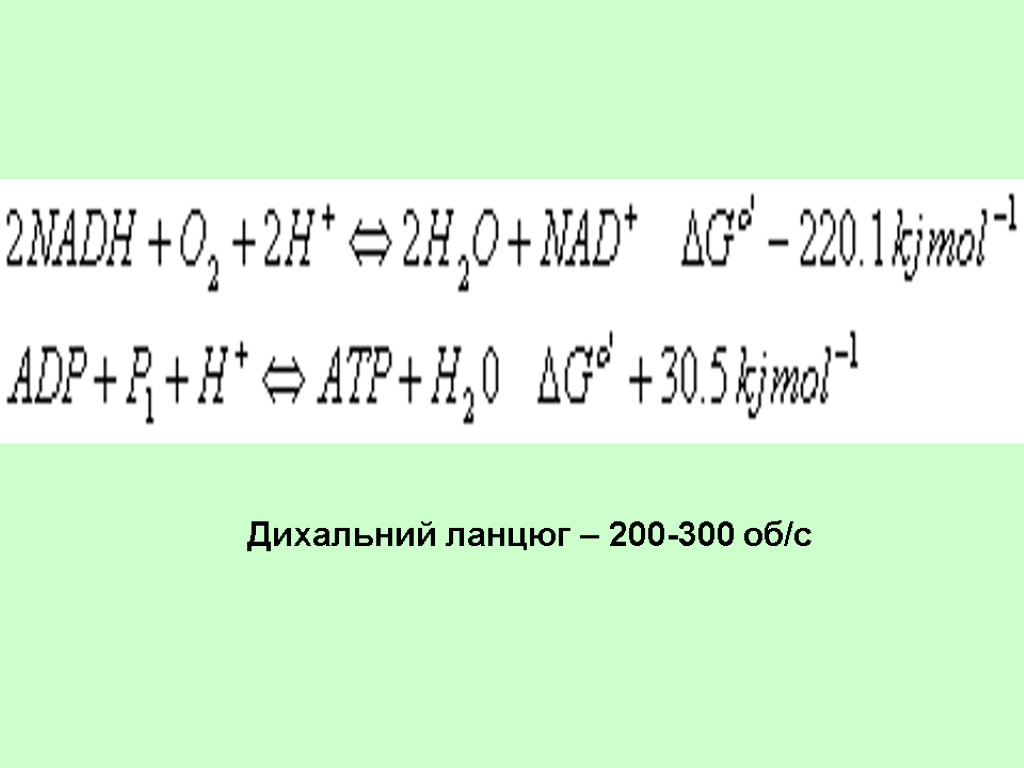 Дихальний ланцюг – 200-300 об/с